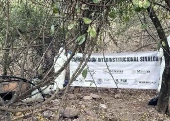 Semar localiza en Sinaloa un narcolaboratorio con precursores escondidos bajo tierra