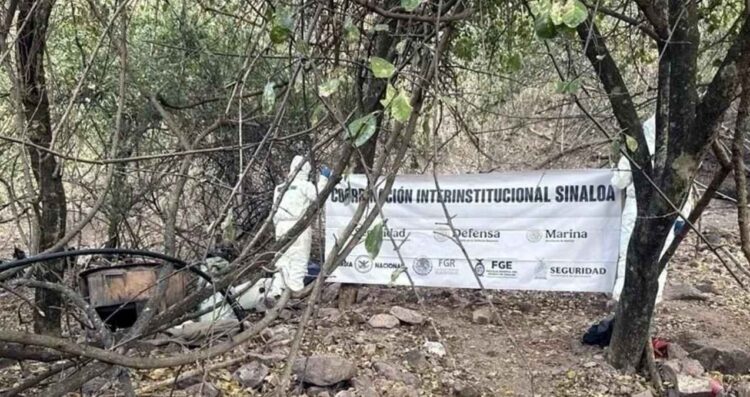 Semar localiza en Sinaloa un narcolaboratorio con precursores escondidos bajo tierra