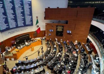 Estrategia de Seguridad Pública