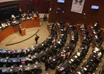 Senado armas de fuego