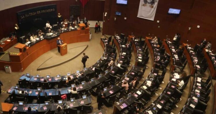 Senado armas de fuego