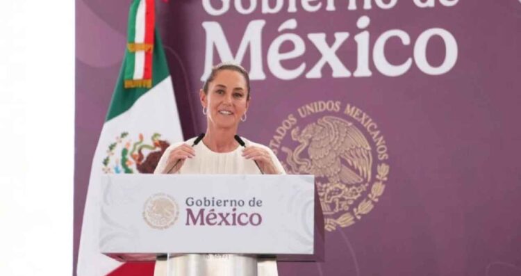 Sheinbaum Segalmex problemas