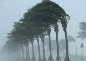 Temporada de huracanes 2025 Semar prevé más de 30 ciclones entre el Pacífico y el Atlántico