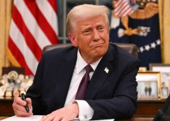 Trump México crimen organizado