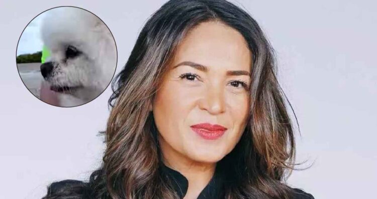 Yolanda Andrade reaparece mensaje (1)