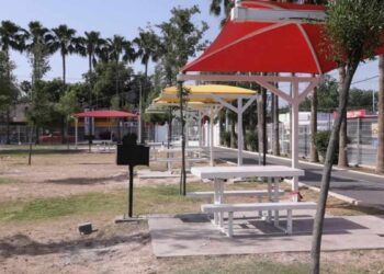 basura recolectada en Pascua Nuevo Laredo