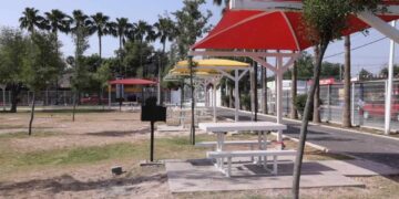 basura recolectada en Pascua Nuevo Laredo