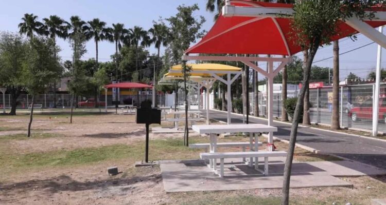 basura recolectada en Pascua Nuevo Laredo