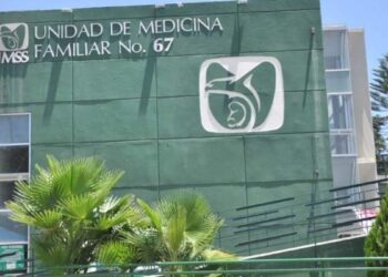 casos de dengue 2025 Tamaulipas