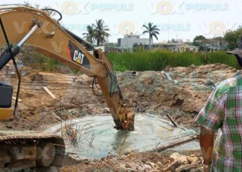 cocodrilo en obra de construcción en Altamira