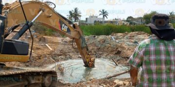cocodrilo en obra de construcción en Altamira
