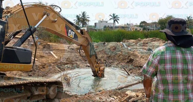 cocodrilo en obra de construcción en Altamira