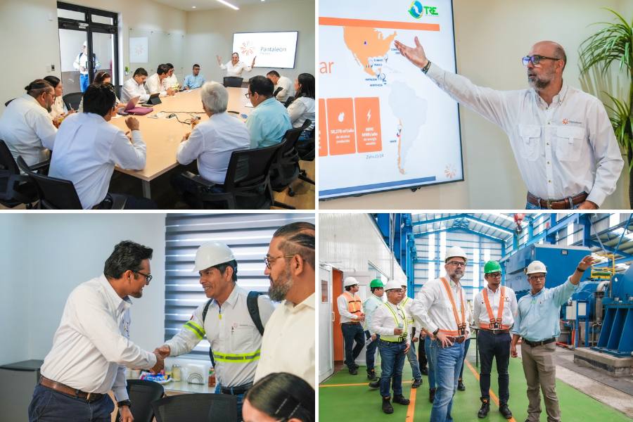 cogeneración termoeléctrica en Ciudad Mante