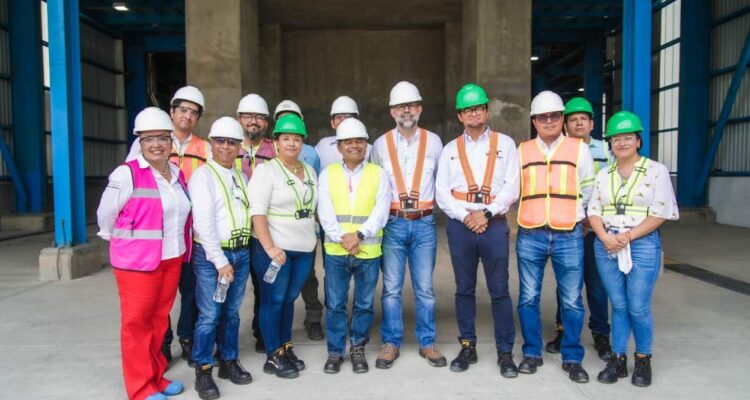 cogeneración termoeléctrica en Ciudad Mante