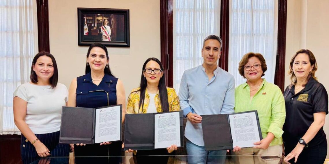 declaraciones patrimoniales Tampico