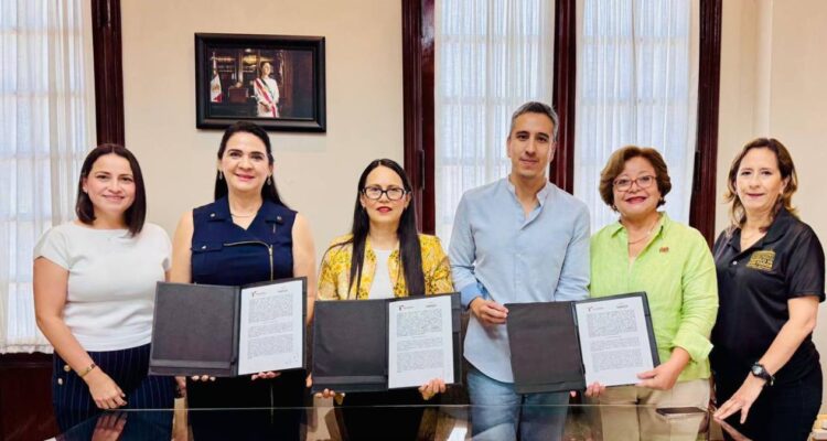 declaraciones patrimoniales Tampico