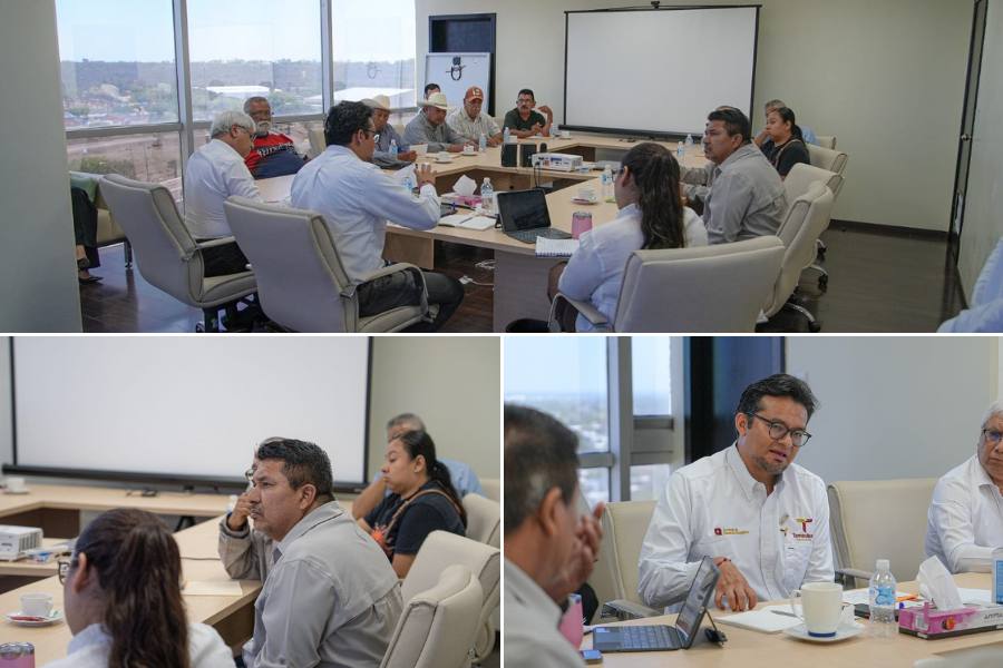 empresa eléctrica en Llera