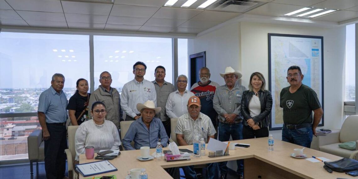 empresa eléctrica en Llera