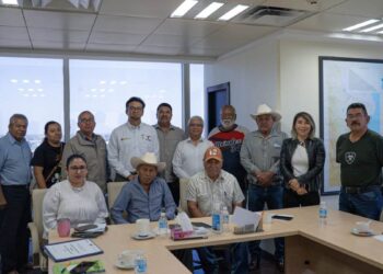 empresa eléctrica en Llera