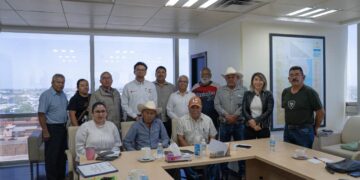 empresa eléctrica en Llera