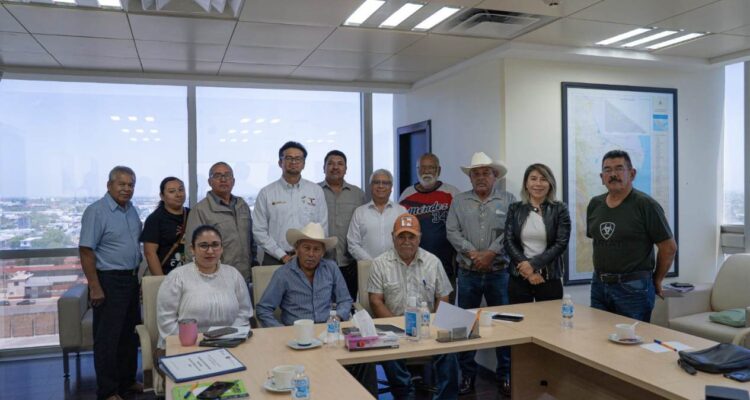 empresa eléctrica en Llera