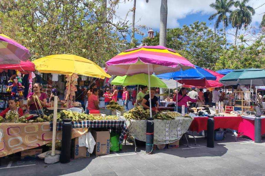 domingo de Ramos en Tampico