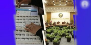 elecciones 2025 México