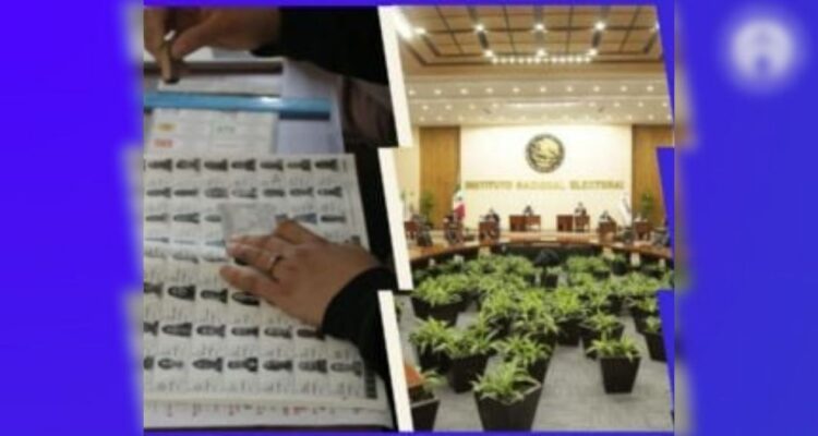 elecciones 2025 México