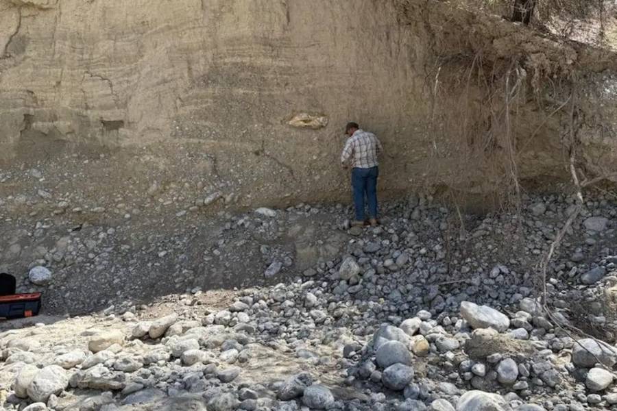 fósiles en Tula Tamaulipas