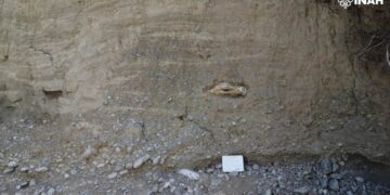 fósiles en Tula Tamaulipas