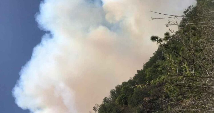 _incendio Cañón Vacas Aramberri