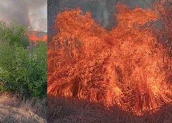 _incendio La Diana Güémez