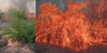 _incendio La Diana Güémez