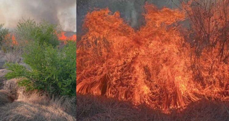 _incendio La Diana Güémez