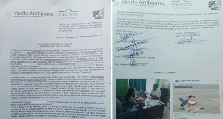 madre se disculpa tortuga Tampico