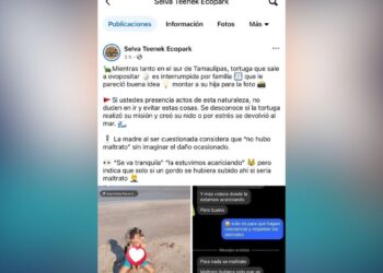 maltrato a tortuga en Ciudad Madero
