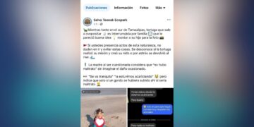maltrato a tortuga en Ciudad Madero