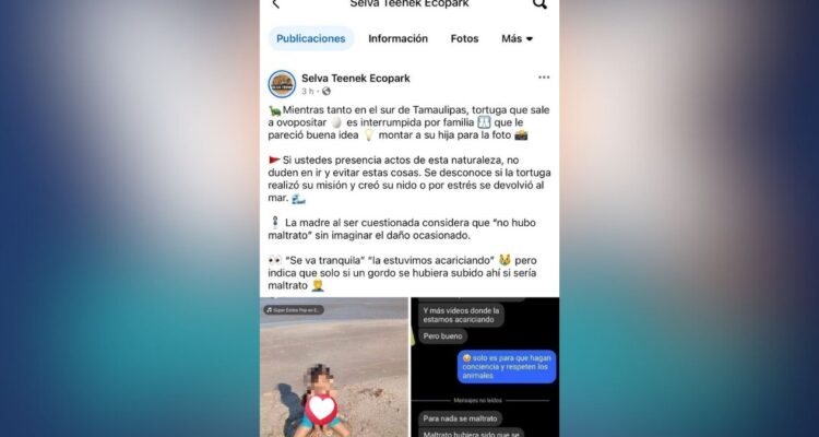 maltrato a tortuga en Ciudad Madero