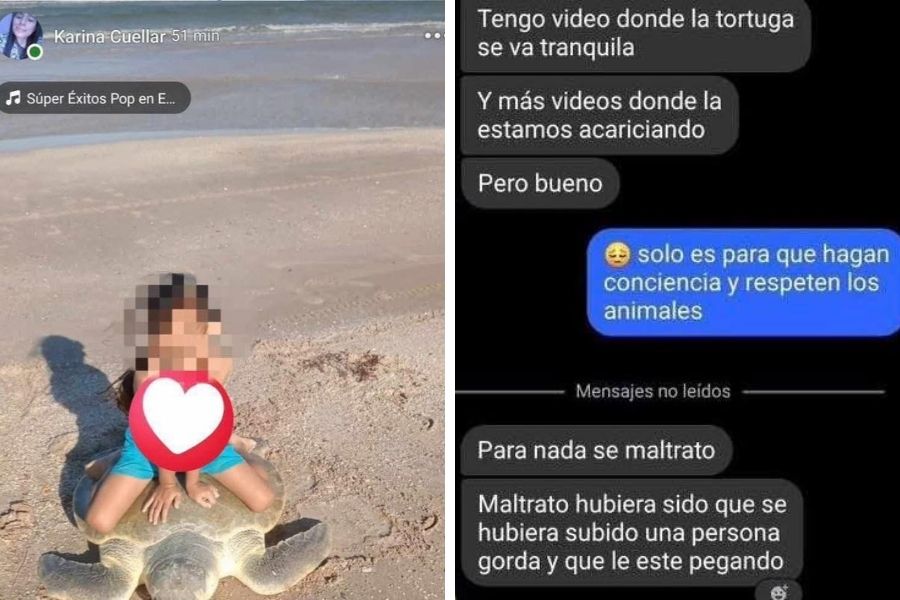maltrato a tortuga en Ciudad Madero
