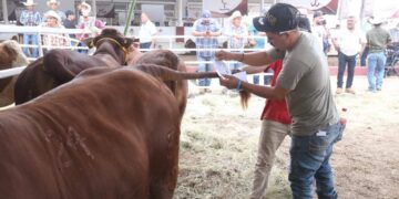 Mejoramiento Genético 2025 en Tamaulipas