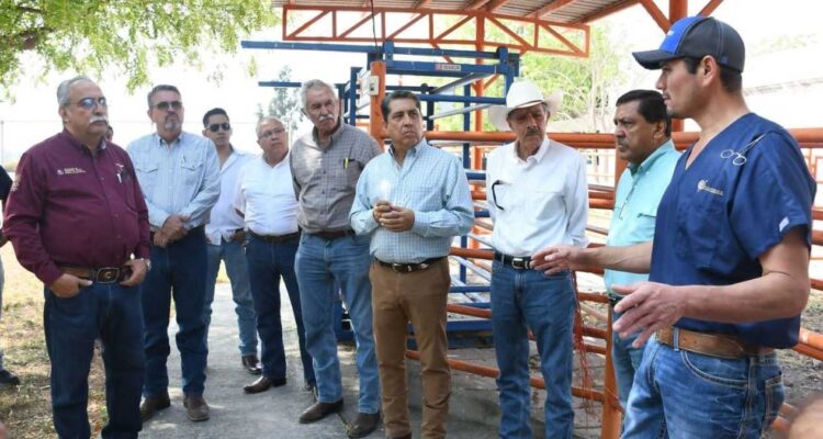 mejoramiento genético en Tamaulipas