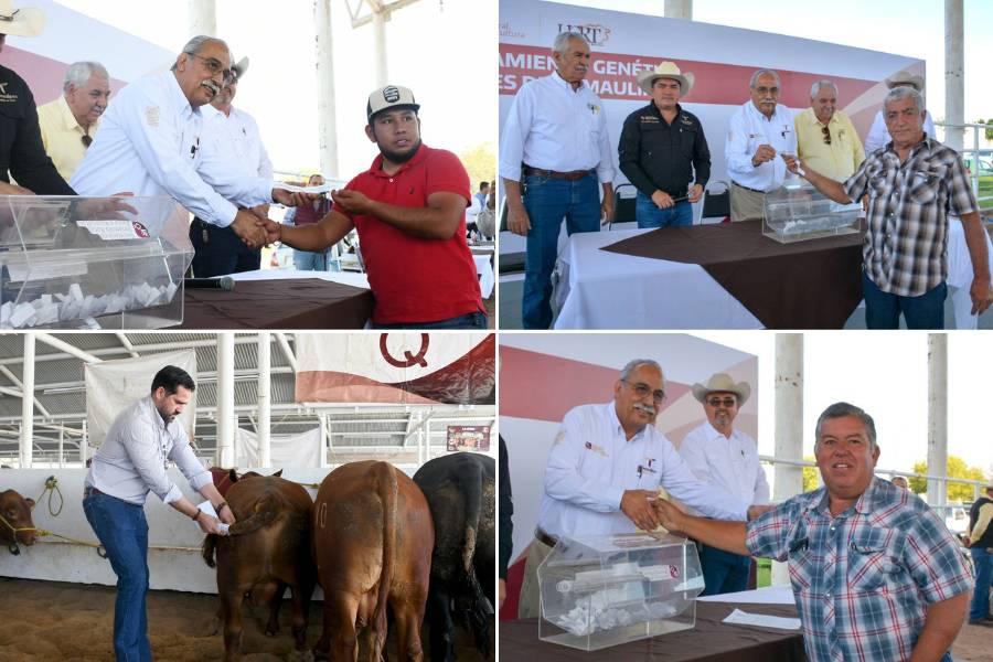 mejoramiento genético ganadero en Tamaulipas