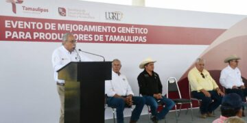 mejoramiento genético ganadero en Tamaulipas