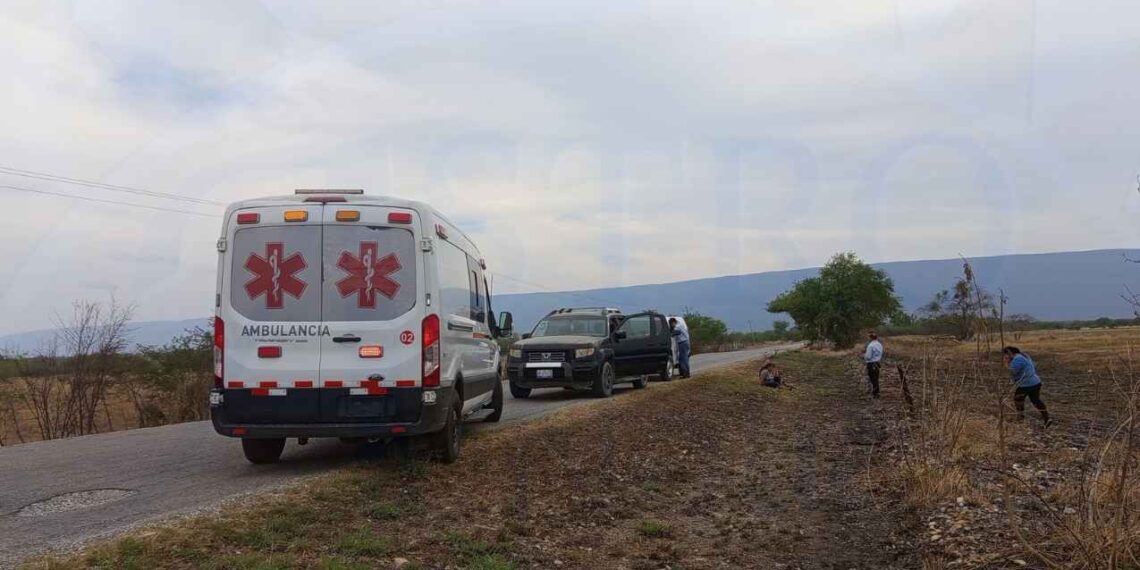 muere ataque abejas Mante