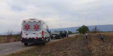 muere ataque abejas Mante