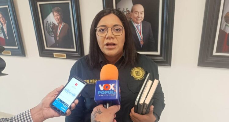 participación ciudadana en la elección judicial
