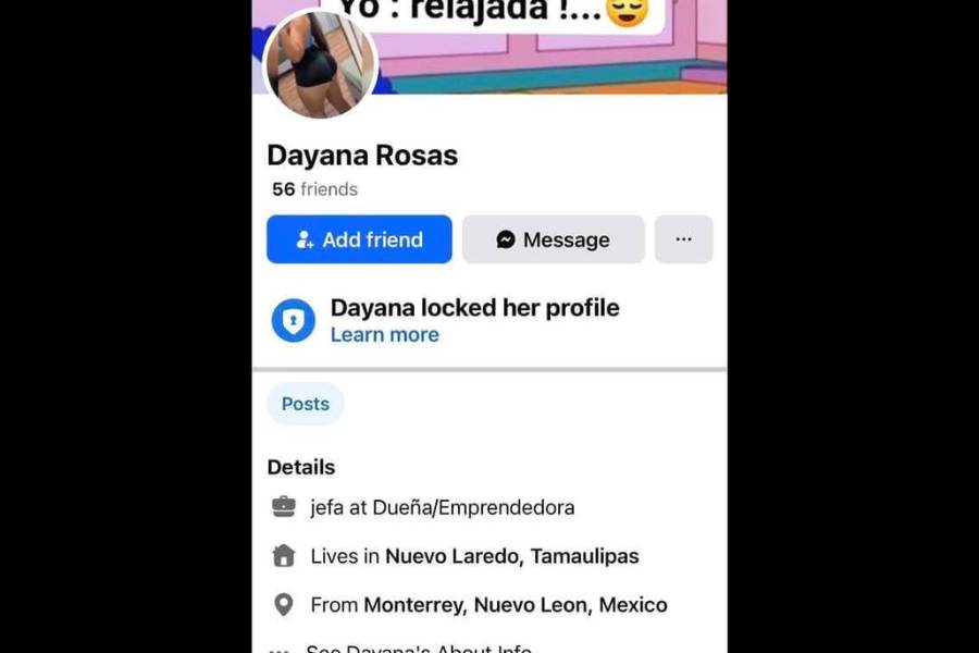 perros callejeros de Nuevo Laredo