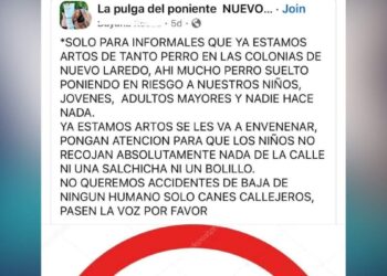 perros callejeros de Nuevo Laredo