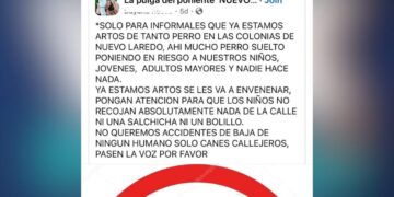 perros callejeros de Nuevo Laredo