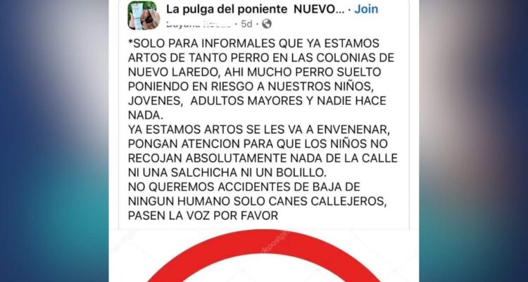 perros callejeros de Nuevo Laredo